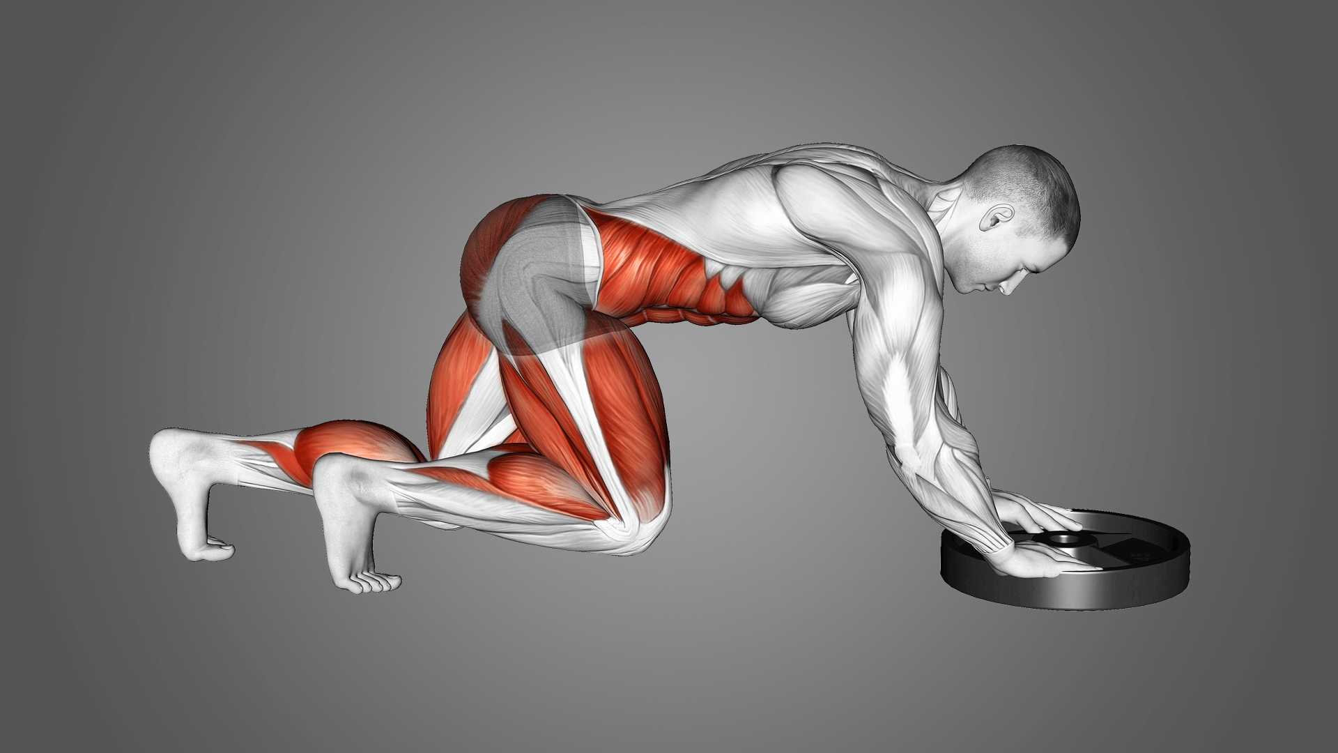 Толкание дисков: техника и работающие мышцы