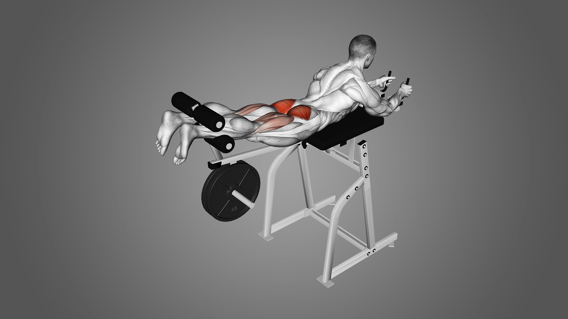 Обратная гиперэкстензия: полное руководство по технике