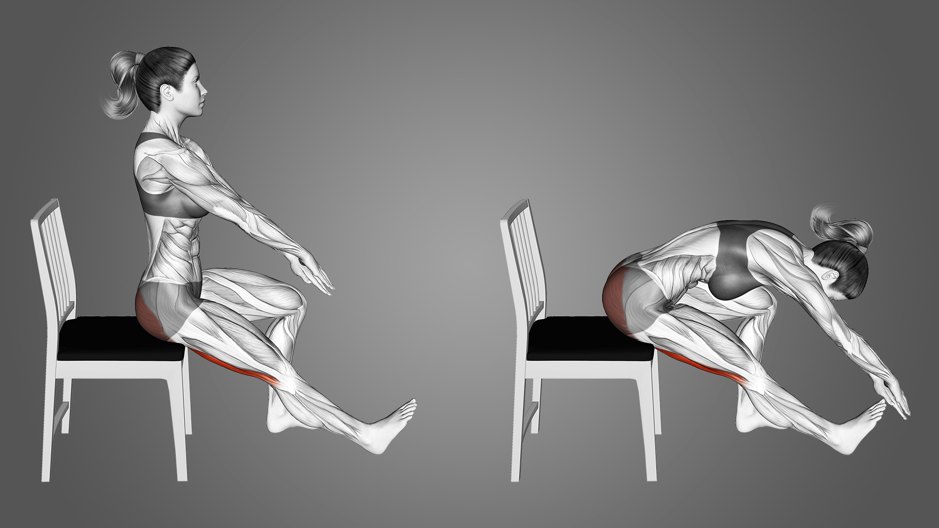 Растяжка задней поверхности бедра сидя: польза, техника и ошибки