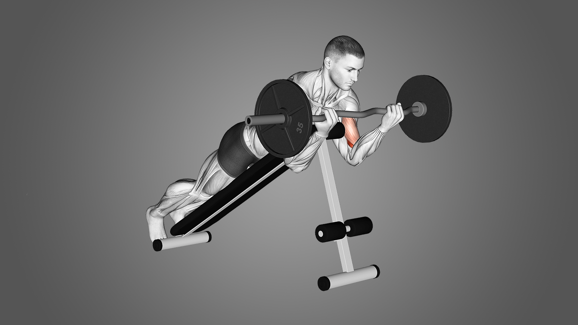 Как построить пик бицепса: все о паучьих сгибаниях