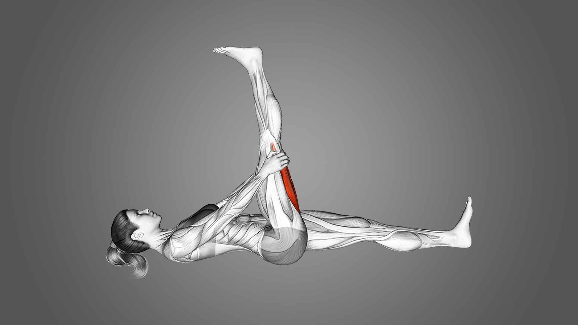 Лучшая растяжка для задней поверхности бедра: техника выполнения лежа