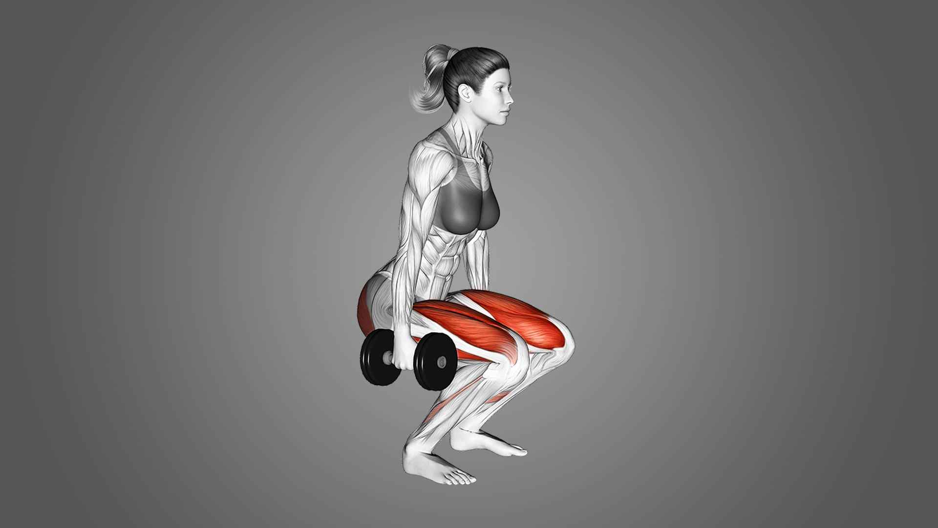 Приседания с гантелями: польза, работающие мышцы и многое другое