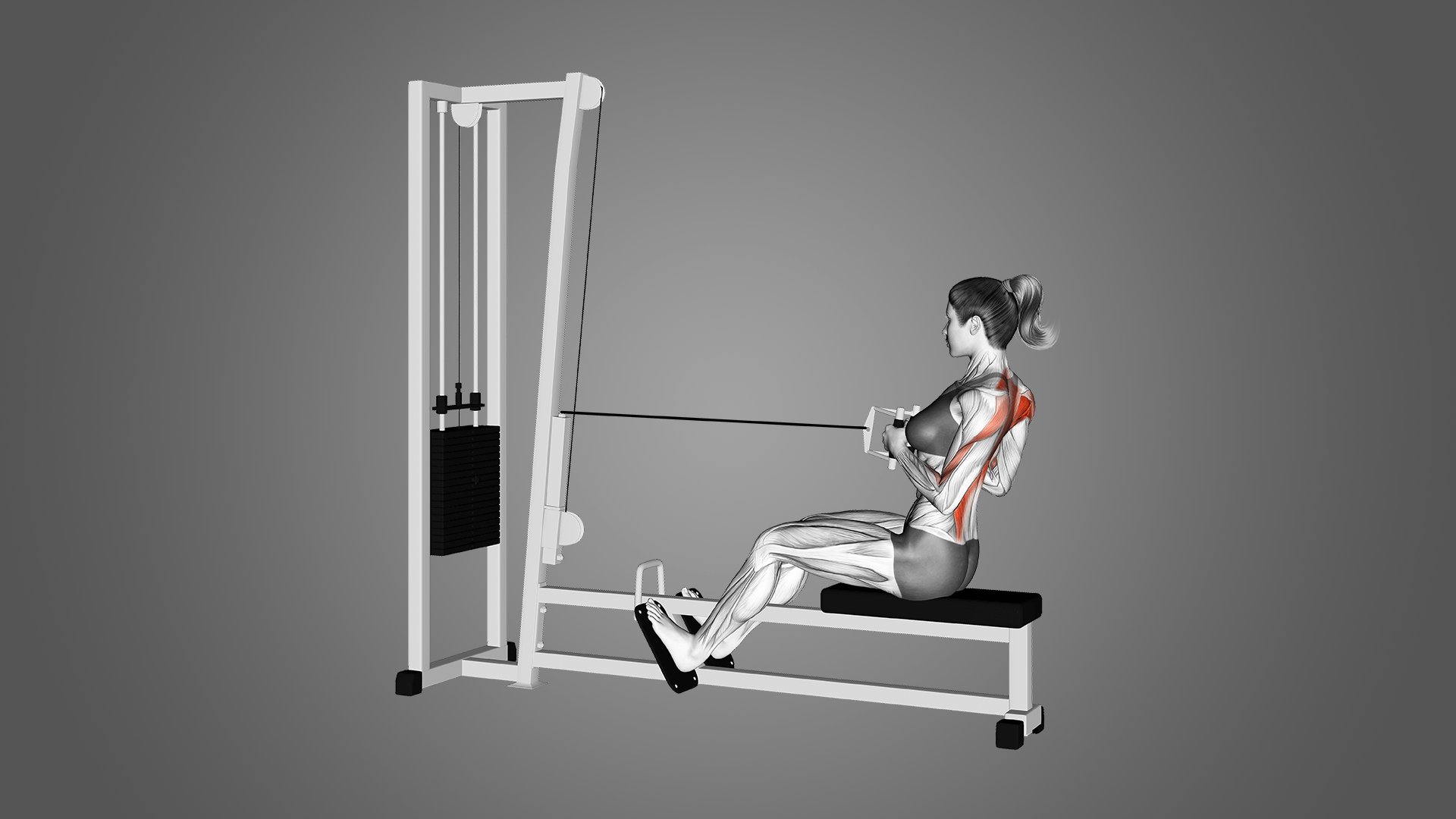 Тяга горизонтального блока: польза, работающие мышцы и многое другое