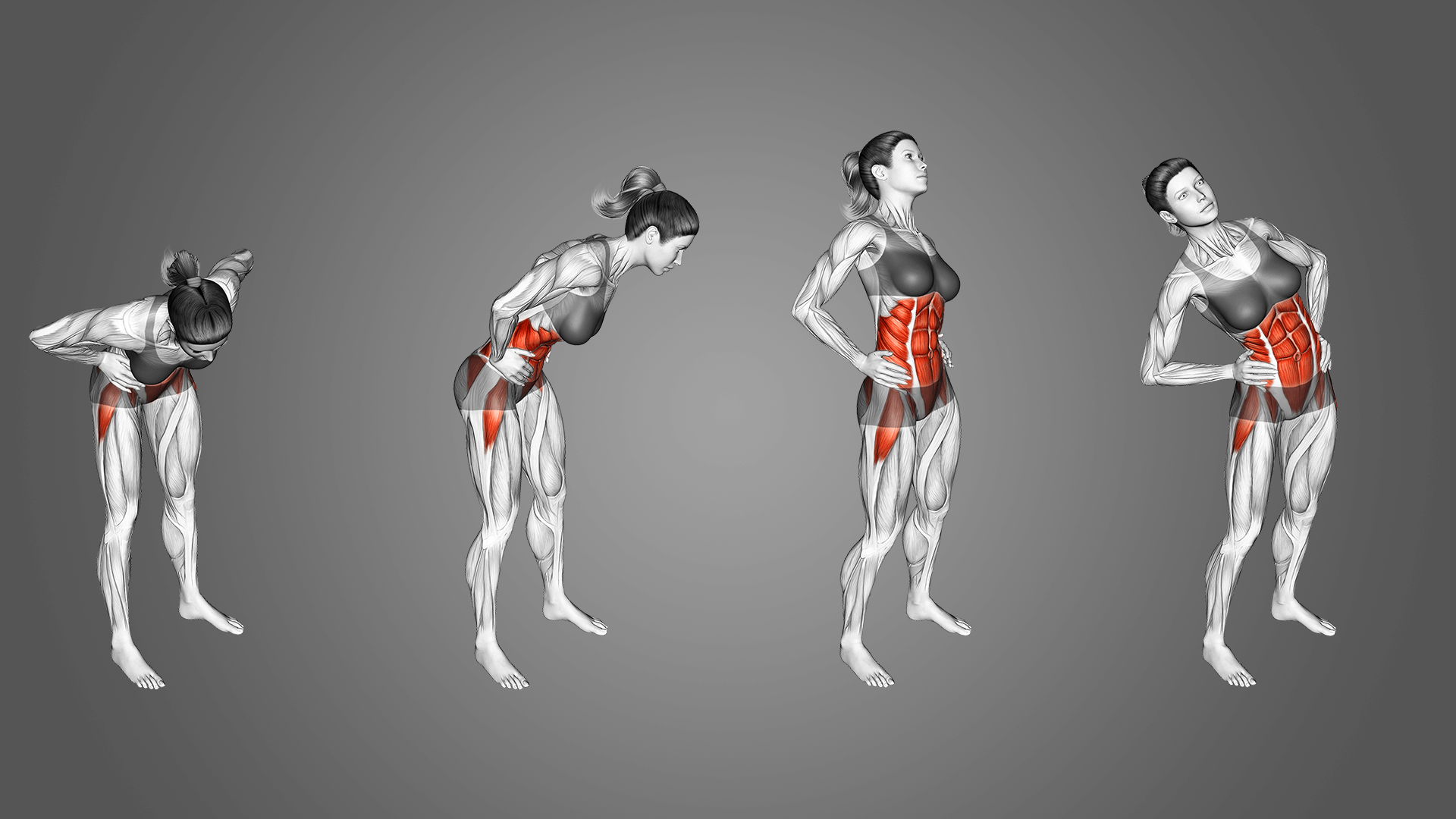 Круговые вращения тазом: польза, мышцы и техника