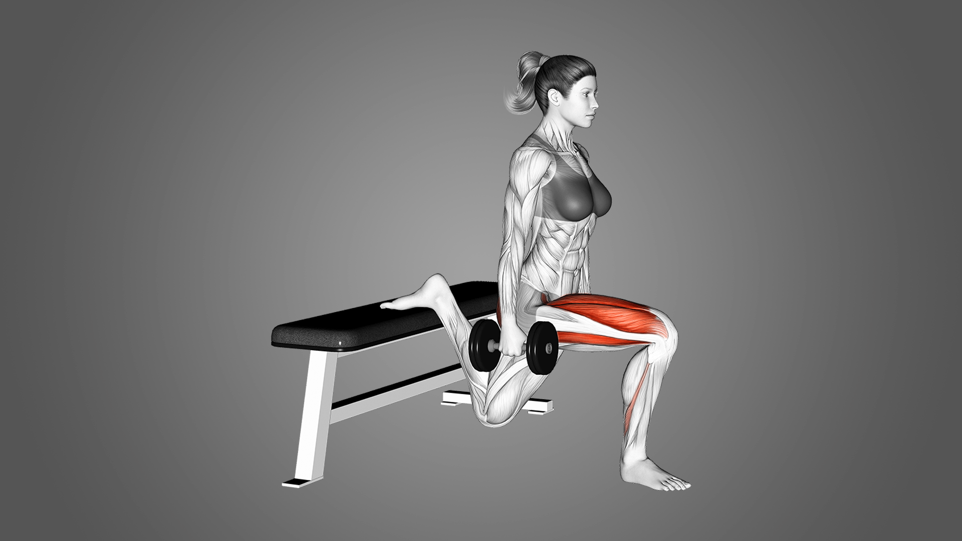 Как прокачать квадрицепсы и ягодицы: 5 вариаций болгарского сплит-приседа