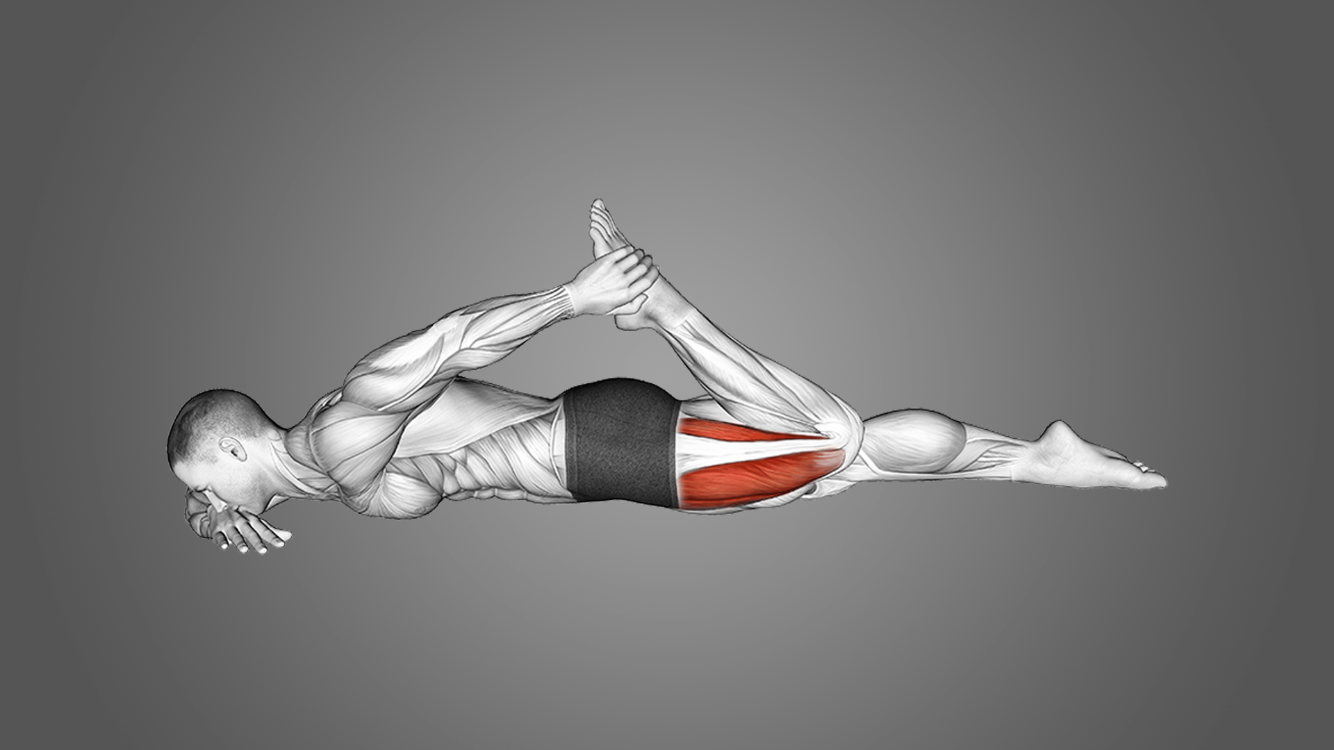 Растяжка квадрицепса лежа на животе: польза, мышцы и многое другое
