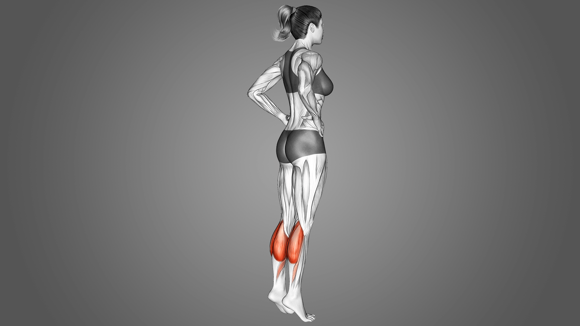 Как накачать икры: 7 вариантов подъемов на носки