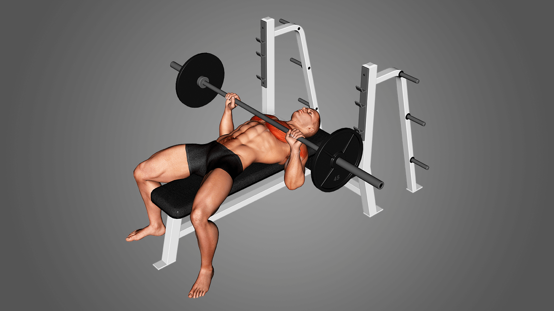 Как построить мощную грудь: 7 вариантов жима штанги лежа