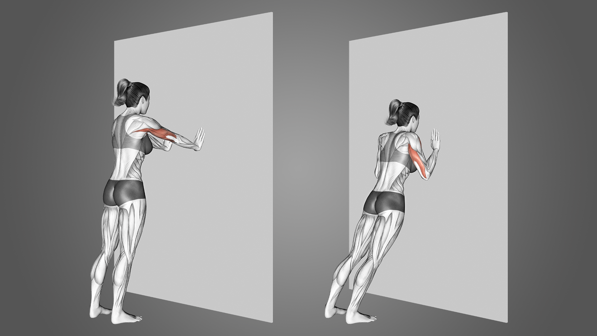 Отжимания от стены: безопасно, просто и эффективно для верхней части тела.