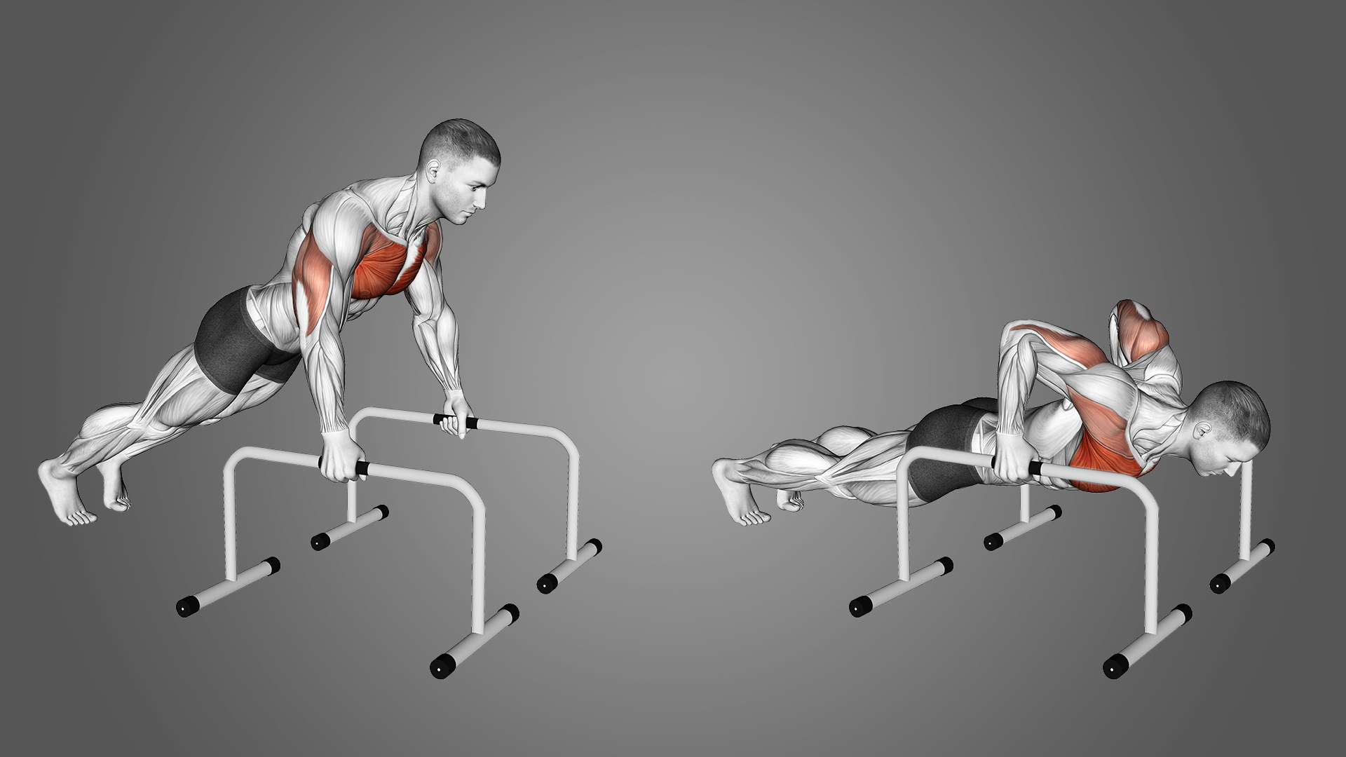 Стоит ли покупать упоры для отжиманий? Вся правда